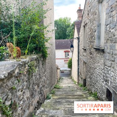 Un week-end le long du Loing, de Montigny-sur-Loing à Thomery