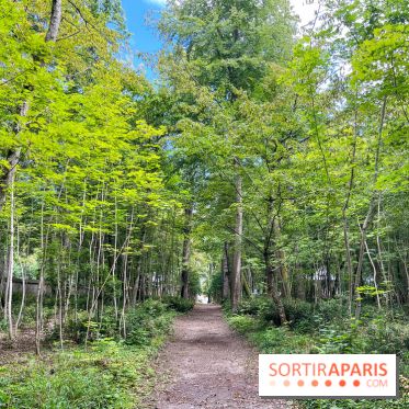 Un week-end le long du Loing, de Montigny-sur-Loing à Thomery - image00015