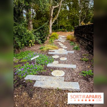 Les jardins japonais de Favières - photos - IMG 1761 jpg