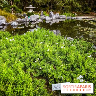Les jardins japonais de Favières - photos