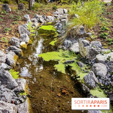 Les jardins japonais de Favières - photos - IMG 1773