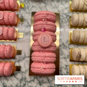 Ladurée - Bûches de Noël 2023 macarons
