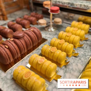 Ladurée - Bûches de Noël 2023 macarons