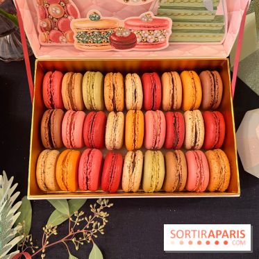 Ladurée - Bûches de Noël 2023 - Macarons