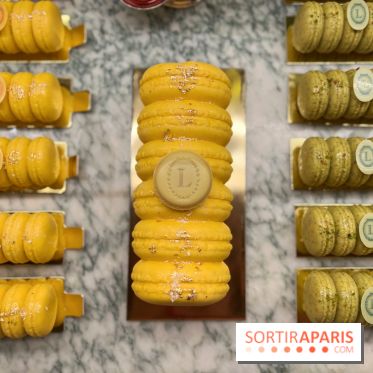 Ladurée - Bûches de Noël 2023 macarons