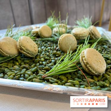 Dalloyau - Macarons de Noël 2023