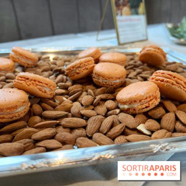 Dalloyau - Macarons de Noël 2023