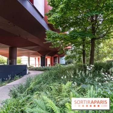 Musée du Quai Branly visuel - jardin Quai Branly - Jacques Chirac  -  A7C2089