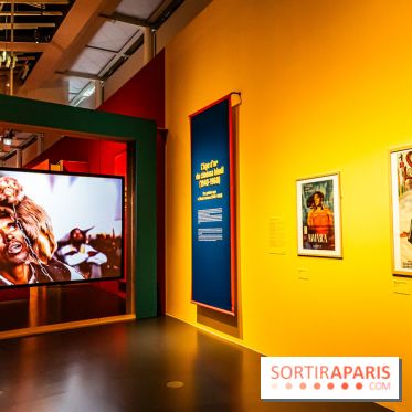 Exposition Bollywood Superstars au Musée du Quai Branly - photos  -  A7C2003