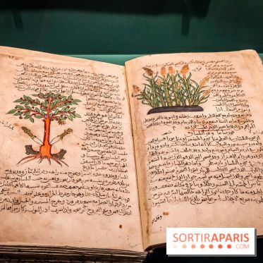 Parfums d'Orient, l'exposition qui enchante nos sens à l'Institut du Monde Arabe - photos