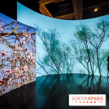 Parfums d'Orient, l'exposition qui enchante nos sens à l'Institut du Monde Arabe - photos