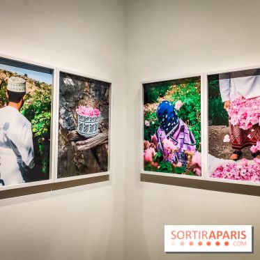 Parfums d'Orient, l'exposition qui enchante nos sens à l'Institut du Monde Arabe - photos