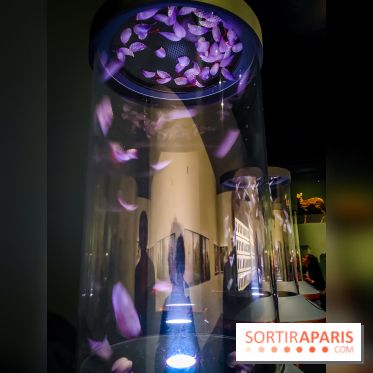 Parfums d'Orient, l'exposition qui enchante nos sens à l'Institut du Monde Arabe - photos