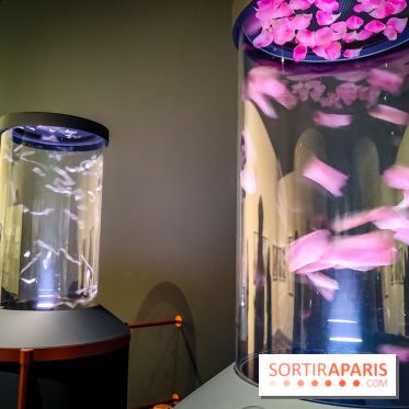 Parfums d'Orient, l'exposition qui enchante nos sens à l'Institut du Monde Arabe - photos