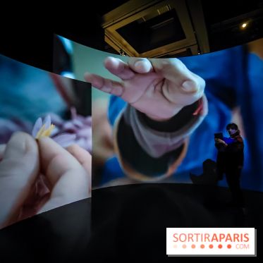 Parfums d'Orient, l'exposition qui enchante nos sens à l'Institut du Monde Arabe - photos