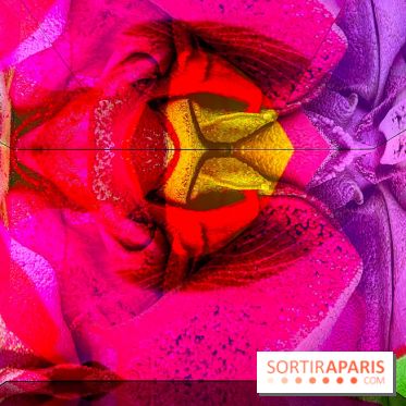 Dior J'adore !, l'exposition gratuite qui célèbre le parfum iconique de la Maison  - image00015