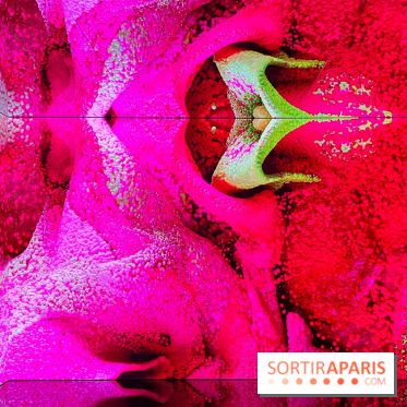 Dior J'adore !, l'exposition gratuite qui célèbre le parfum iconique de la Maison  - image00016