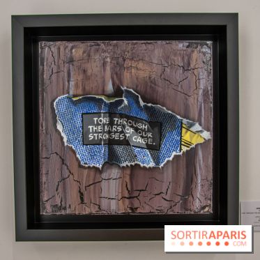 Exposition Les Cages de l'Imaginaire Sandra Chevrier galerie Goldshteyn-Saatort