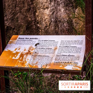 Le sentier des Maréchaux à Senlisse - Vallée de Chevreuse -  A7C2478