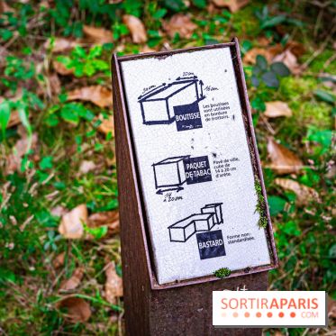Le sentier des Maréchaux à Senlisse - Vallée de Chevreuse -  grès