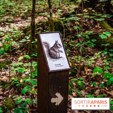 Le sentier des Maréchaux à Senlisse - Vallée de Chevreuse -  A7C2489
