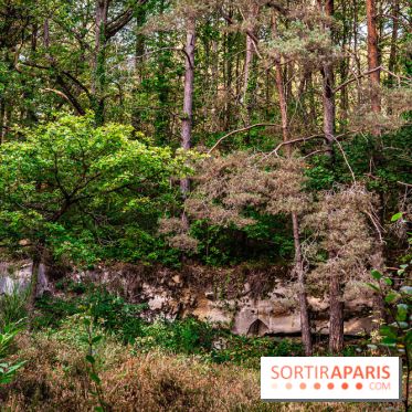 Le sentier des Maréchaux à Senlisse - Vallée de Chevreuse -  A7C2497
