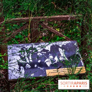 Le sentier des Maréchaux à Senlisse - Vallée de Chevreuse -  A7C2499