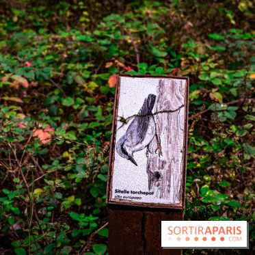 Le sentier des Maréchaux à Senlisse - Vallée de Chevreuse -  panneau faune flore