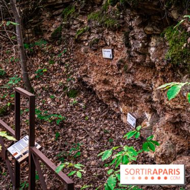 Le sentier des Maréchaux à Senlisse - Vallée de Chevreuse - meulière
