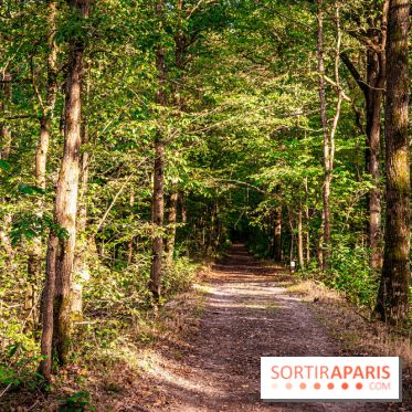 Le sentier des Maréchaux à Senlisse - Vallée de Chevreuse -  A7C2513