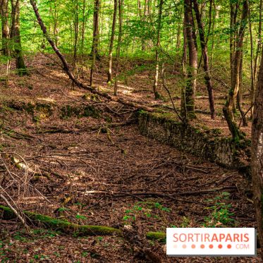Le sentier des Maréchaux à Senlisse - Vallée de Chevreuse -  ancien abreuvoir