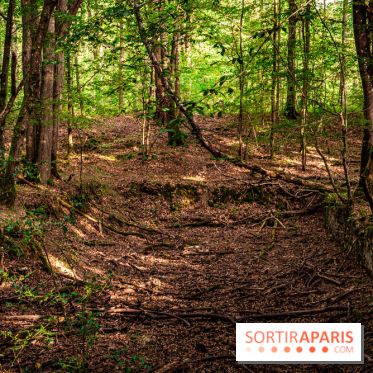 Le sentier des Maréchaux à Senlisse - Vallée de Chevreuse -  ancien abreuvoir