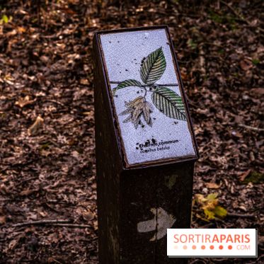 Le sentier des Maréchaux à Senlisse - Vallée de Chevreuse -  panneau faune flore
