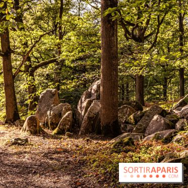 Le sentier des Maréchaux à Senlisse - Vallée de Chevreuse - bloc