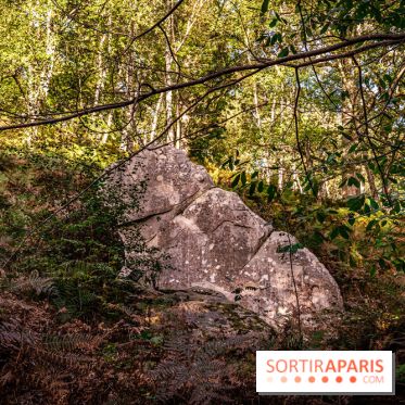 Le sentier des Maréchaux à Senlisse - Vallée de Chevreuse -  bloc