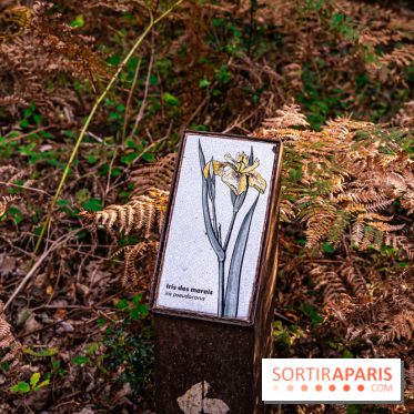 Le sentier des Maréchaux à Senlisse - Vallée de Chevreuse - panneau faune flore