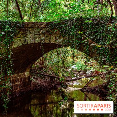 Le sentier des Maréchaux à Senlisse - Vallée de Chevreuse -  vestige pont