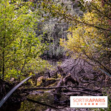Le sentier des Maréchaux à Senlisse - Vallée de Chevreuse -  A7C2574