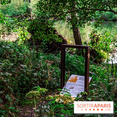 Le sentier des Maréchaux à Senlisse - Vallée de Chevreuse -  A7C2579