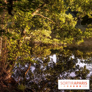 Le sentier des Maréchaux à Senlisse - Vallée de Chevreuse -  étang de Cernay