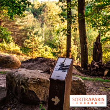 Le sentier des Maréchaux à Senlisse - Vallée de Chevreuse -  panneau faune flore