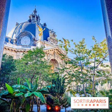 Nuits corticales, l'exposition contemporaine de Loris Gréaud qui transforme le Petit Palais - photos - IMG20231002170802