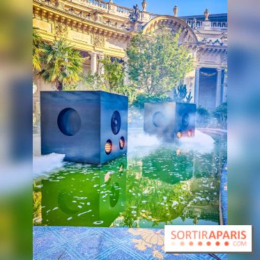 Nuits corticales, l'exposition contemporaine de Loris Gréaud qui transforme le Petit Palais - photos - IMG20231002170544