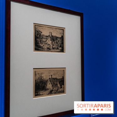 Exposition Van Gogh au Musée d’Orsay - Auvers-sur-Oise, les derniers mois -  A7C3041