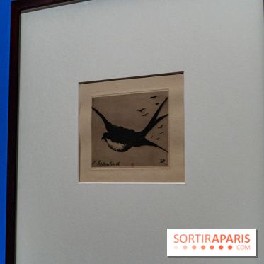 Exposition Van Gogh au Musée d’Orsay - Auvers-sur-Oise, les derniers mois -  A7C3042