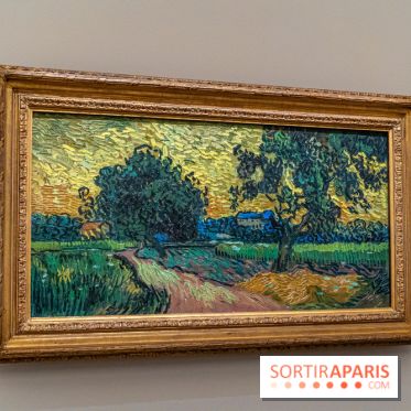 Exposition Van Gogh au Musée d’Orsay - Auvers-sur-Oise, les derniers mois -  A7C3119