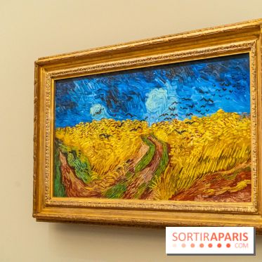 Exposition Van Gogh au Musée d’Orsay - Auvers-sur-Oise, les derniers mois -  A7C3120