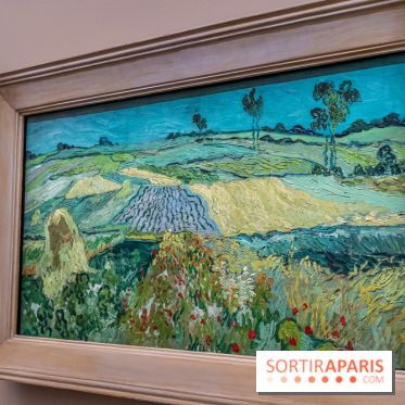 Exposition Van Gogh au Musée d’Orsay - Auvers-sur-Oise, les derniers mois -  A7C3111
