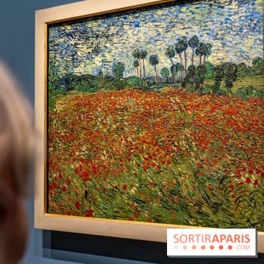 Exposition Van Gogh au Musée d’Orsay - Auvers-sur-Oise, les derniers mois -  A7C3110