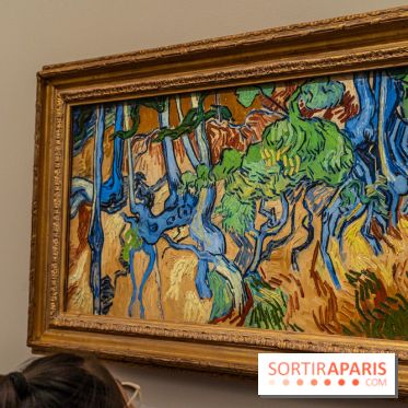 Exposition Van Gogh au Musée d’Orsay - Auvers-sur-Oise, les derniers mois -  A7C3116
